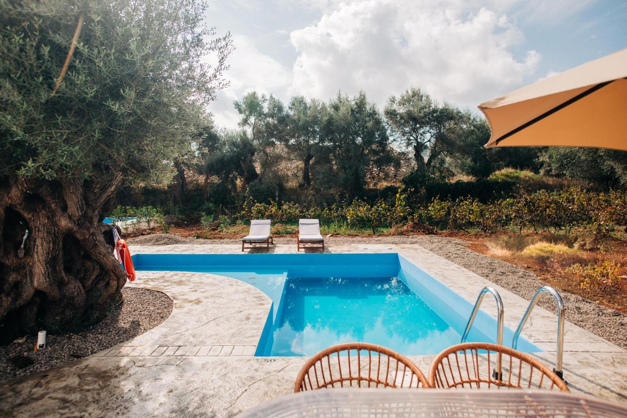 Villa Di Vino Apolpaina 外观 照片