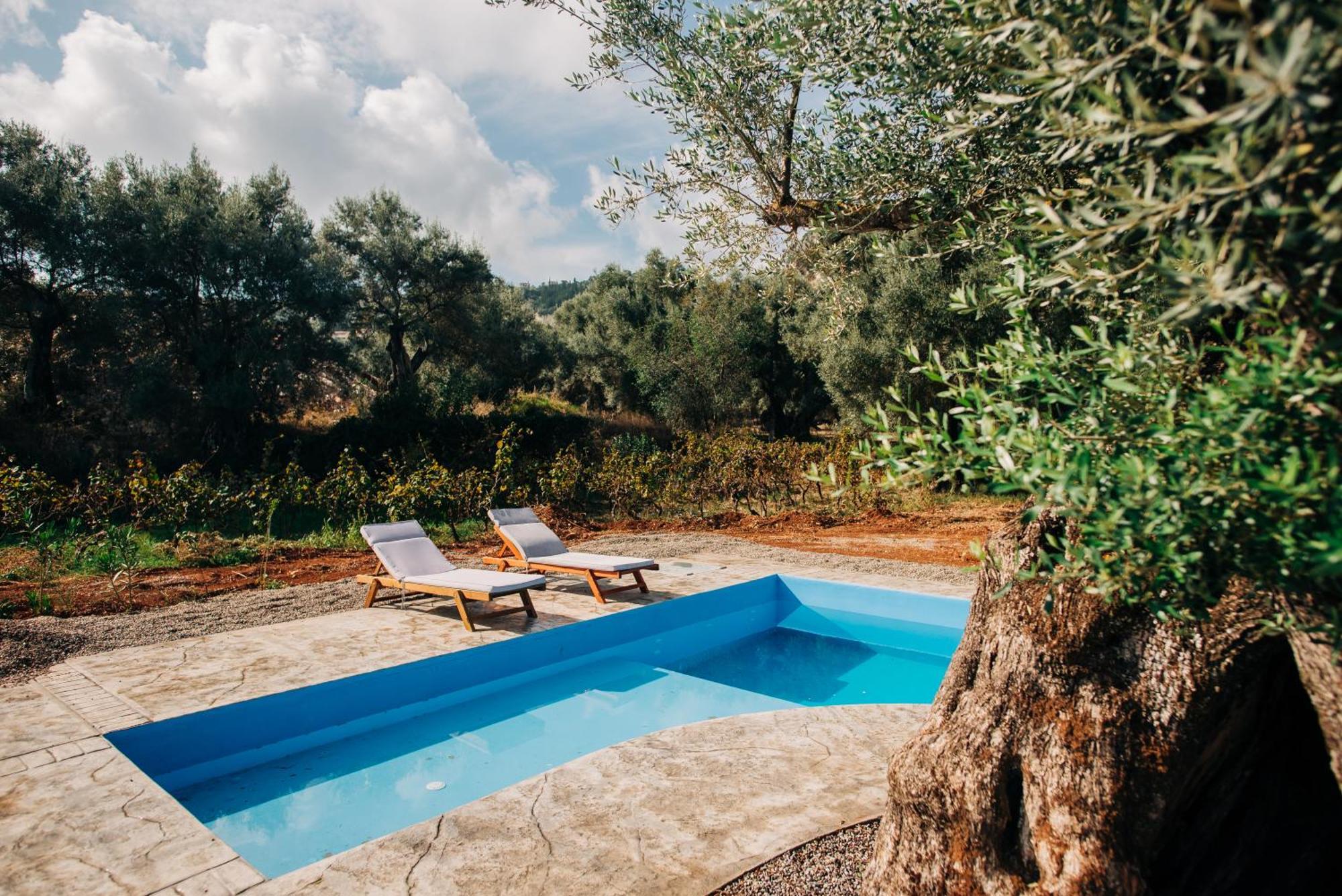 Villa Di Vino Apolpaina 外观 照片
