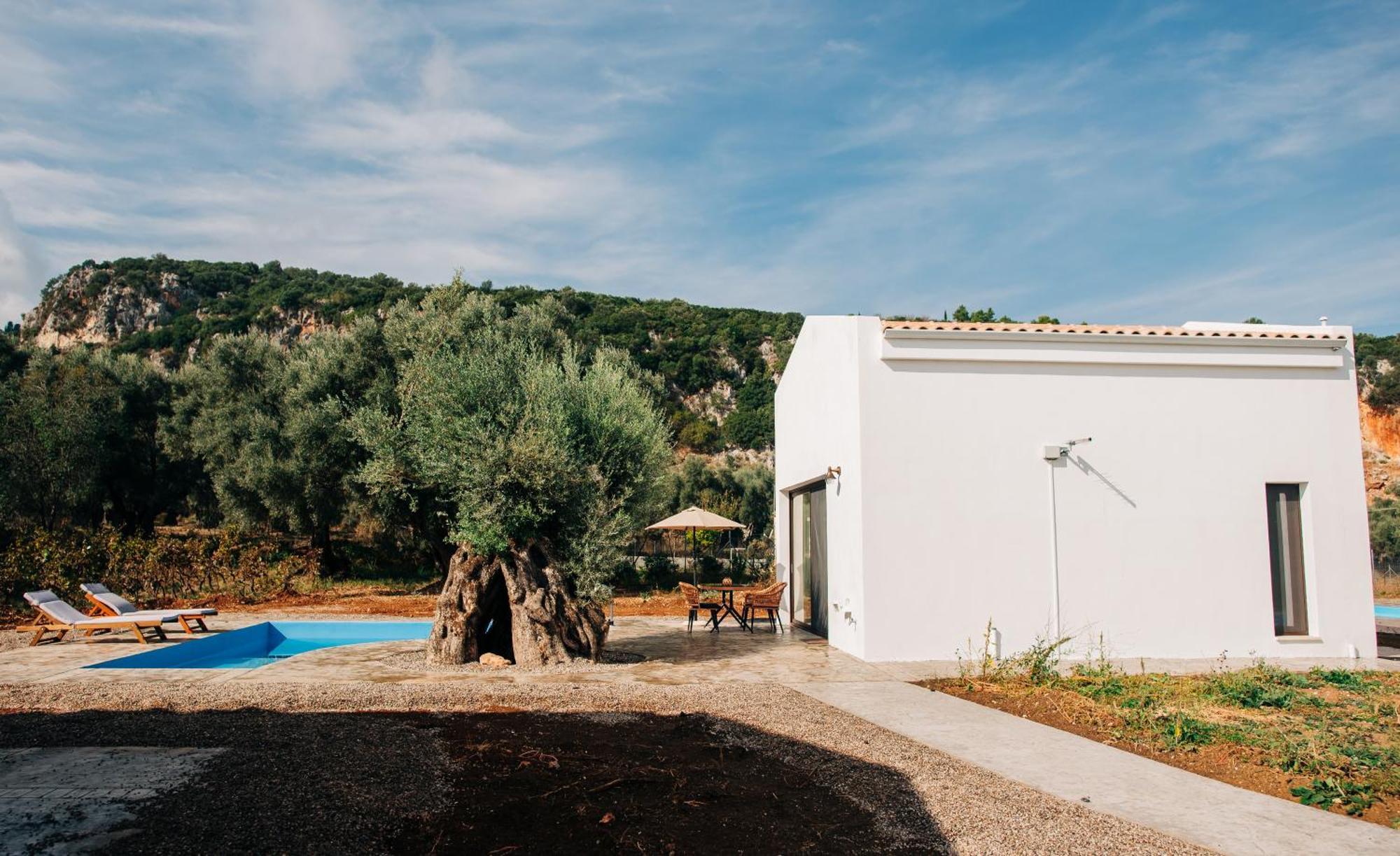 Villa Di Vino Apolpaina 外观 照片